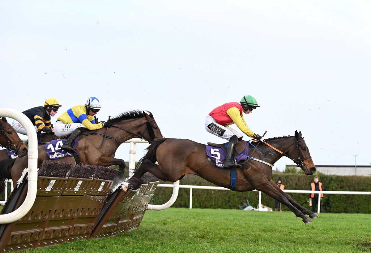 Cousin Kate winning at Leopardstown
