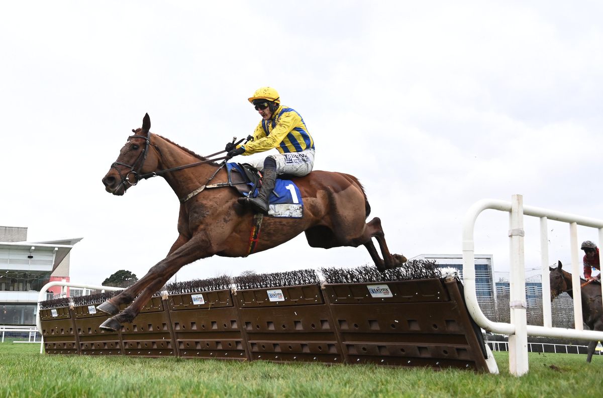 Leopardstown 2 2 26 Doctor Steinberg and Paul Townend win 