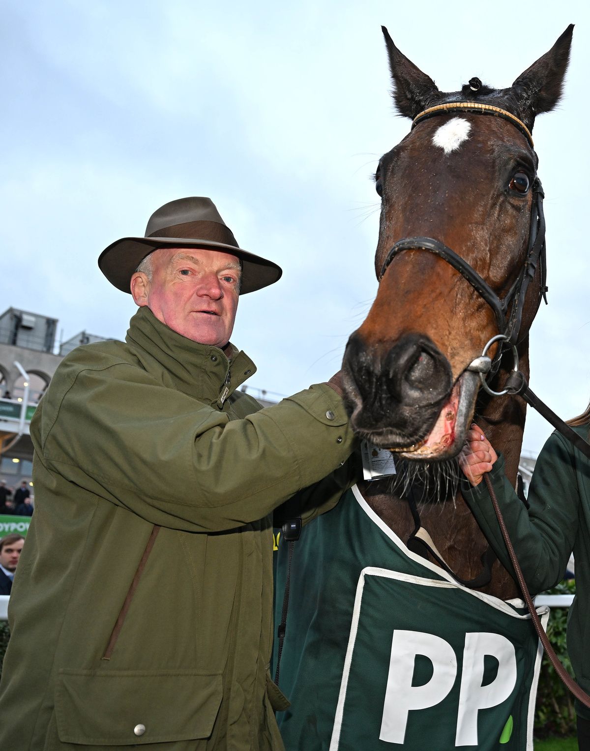 Fact To File and Willie Mullins