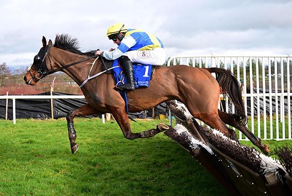 Rocky's Howya and Kevin Healy 