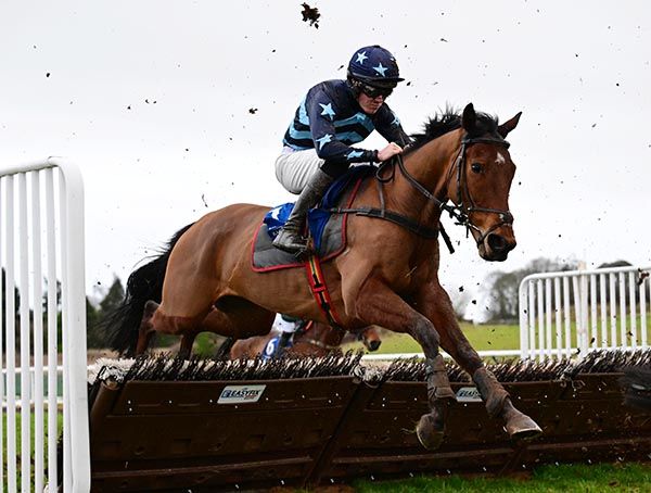 Dollar Nolimit winning at Limerick last month