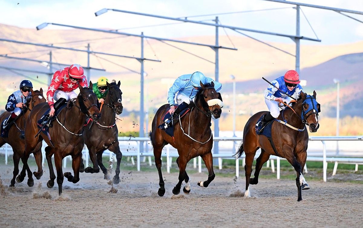 Sporting Hero and Elizabeth Gale (right) win on February 13