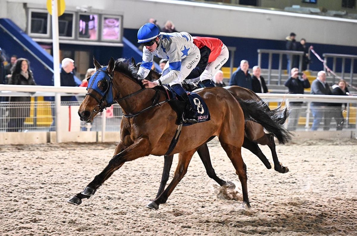 Palmezzano and Joey Sheridan 