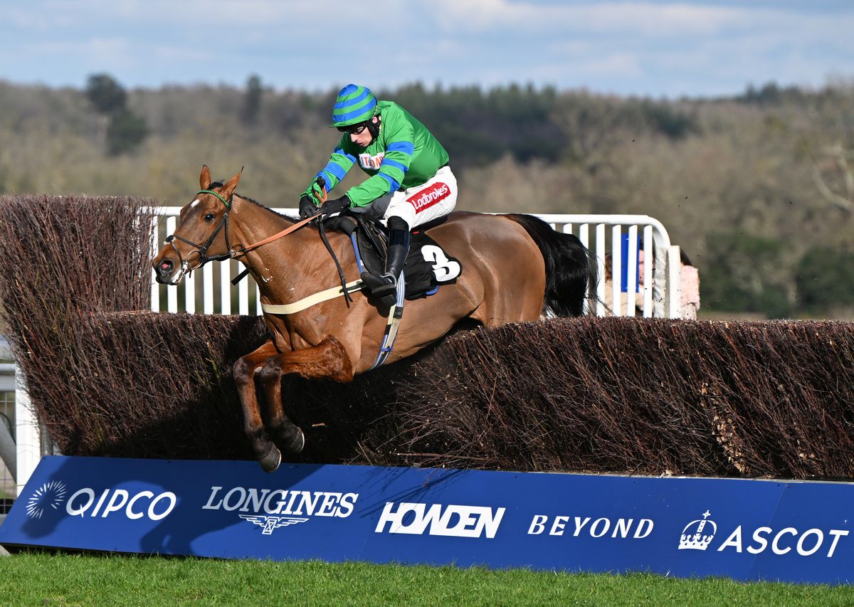 The Jukebox Kid is leading Irish Grand National fancy. 