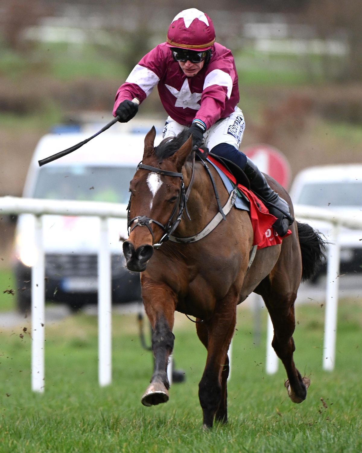 Heart and Paul Townend