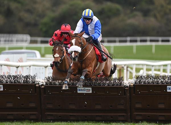 Grainne A Chroi and John Shinnick lead the remainder home