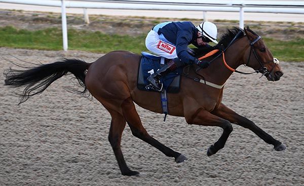 Royal Impact and James Ryan