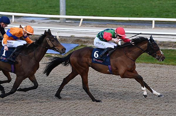 Lady In Gold is ridden out by Joey Sheridan