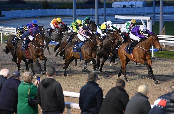 Carolina Jetstream (purple) leads home her rivals under Donagh O Connor 