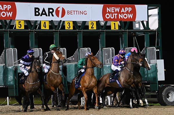 Runners break for the last with eventual winner So Must I in the centre