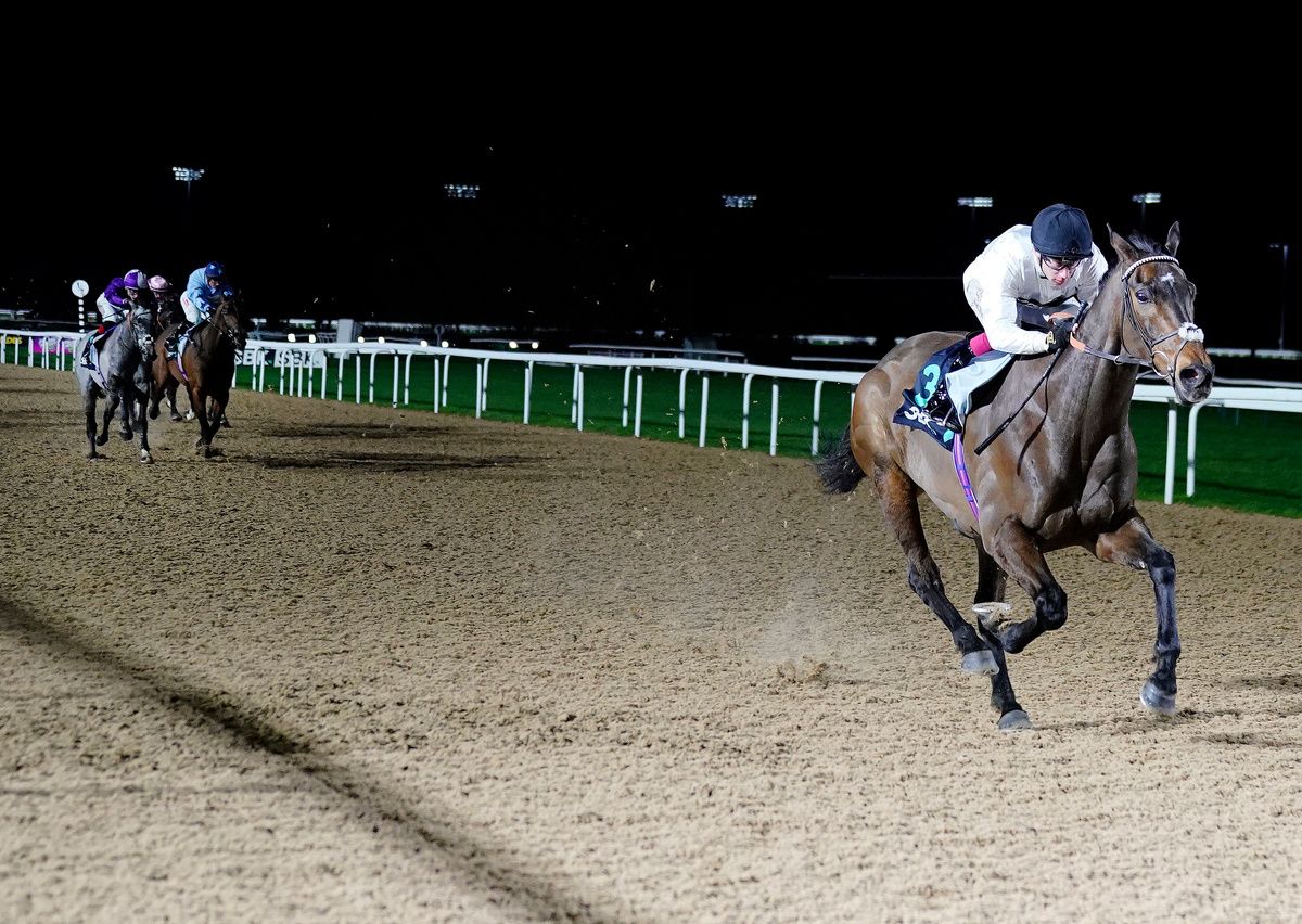 Constitution Hill and Oisin Murphy winning impressively at Southwell