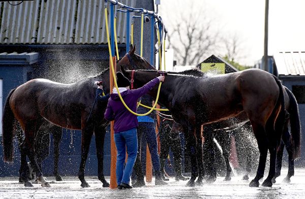 Thurles 19-2-26  runners get washed down after  the Thurles Handicap Steeplechase(Photo HEALY RACING)
