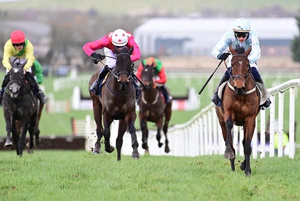 Naas Majolique and Paul Townend 