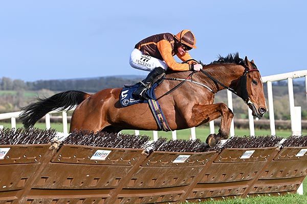 Melbourne Shamrock and Donagh Meyler