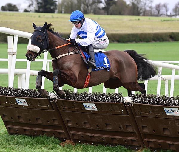 Courtbrack Boy and John Shinnick