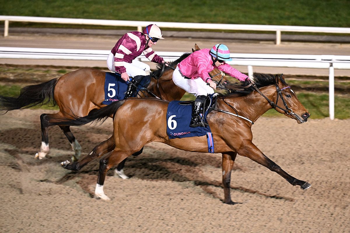 Sutton Hoo and Wayne Lordan