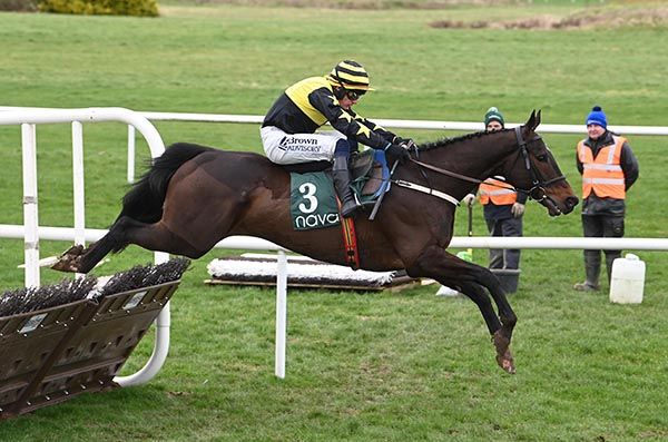 Hens Tooth and Paul Townend