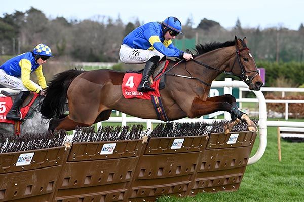  Vitorio Piel and Donagh Meyler 