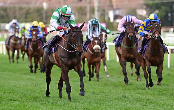 Dee's Lady and Keith Donoghue 