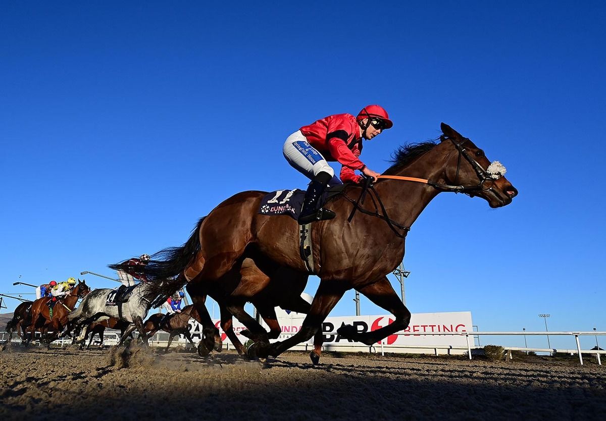Una Matata and Ronan Whelan lead home their rivals under the clear Dundalk sky