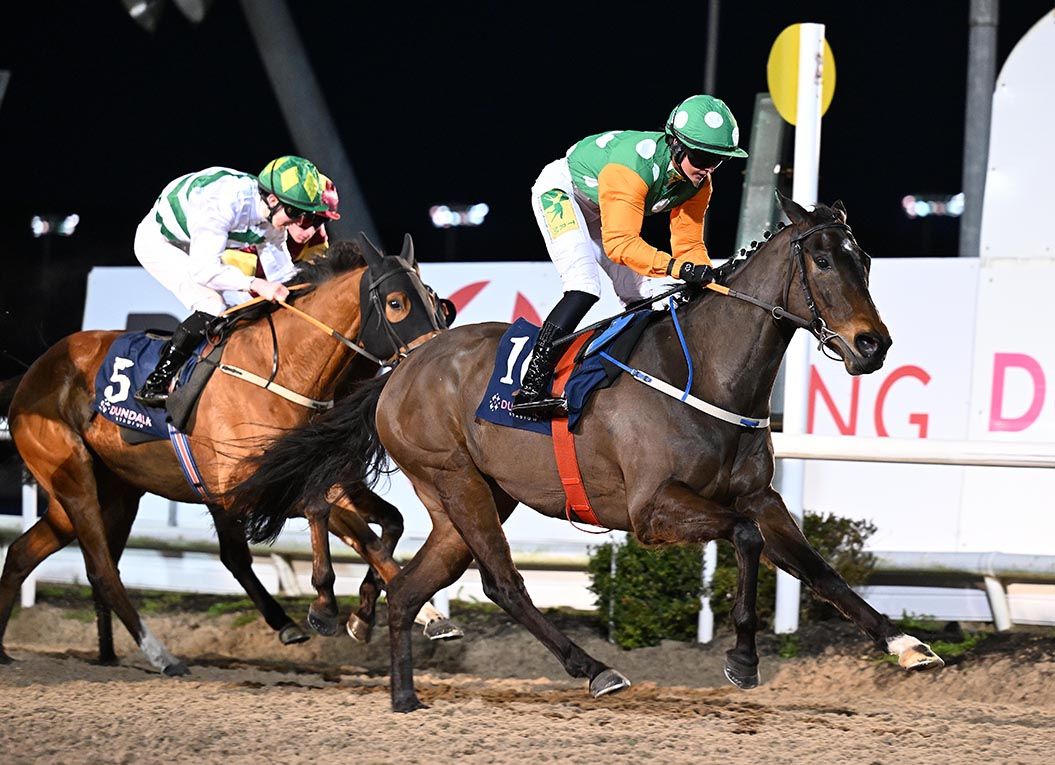 Celtic Druid and Sadhbh Tormey lead home their rivals