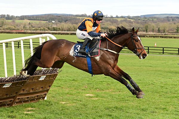 Healys Pub and Phillip Enright