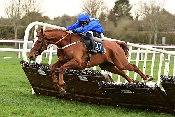 Mojoe and Simon Torrens