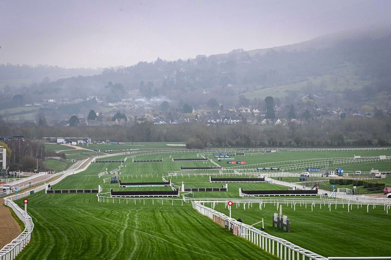 Cheltenham Day 2