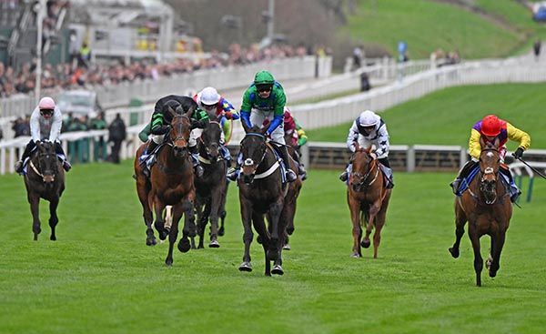 Old Park Star and Nico De Boinville lead them home in the Sky Bet Supreme Novices Hurdle 