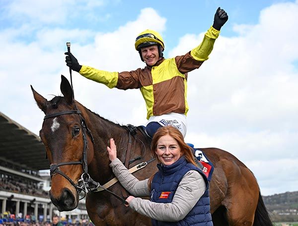 King Rasko Grey (pictured at Cheltenham)