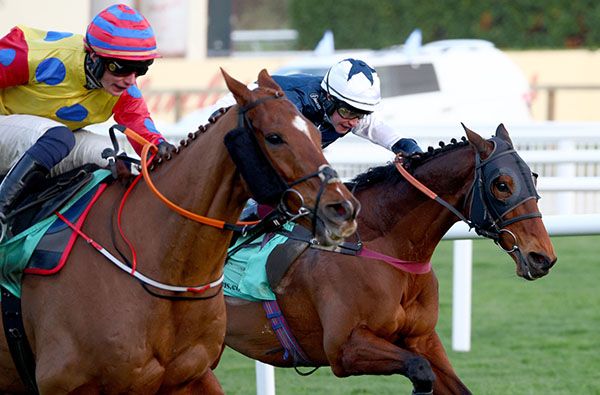 Jazzy Matty (near side) was narrowly denied at Cheltenham.
