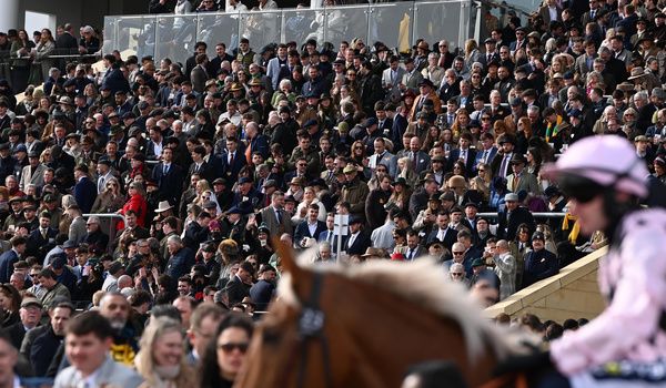 Cheltenham Crowd for Gold Cup Day 