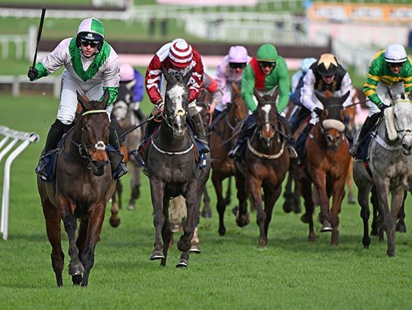 Wilful could step up in grade at Punchestown next month