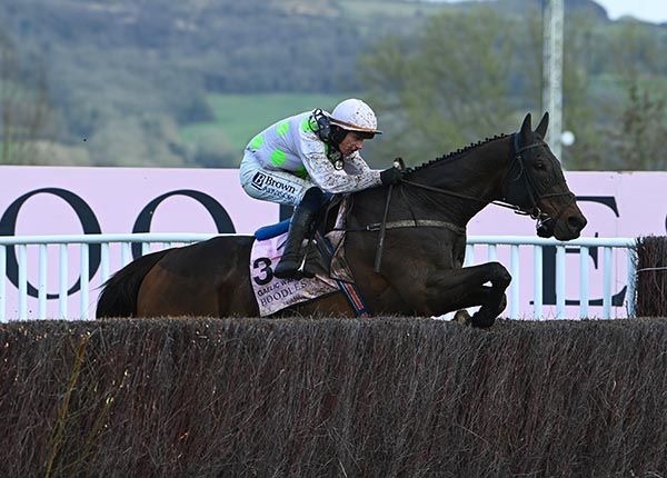 Gaelic Warrior and Paul Townend