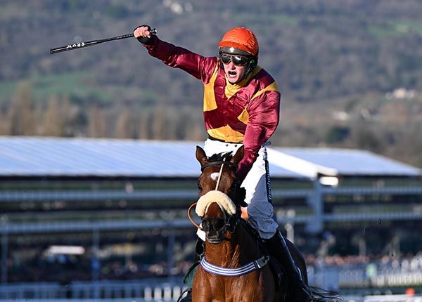 Barton Snow and Henry Crow will bid for famous double at Aintree 