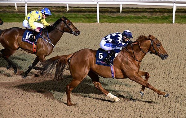 Ohailbhic and Ronan Whelan 