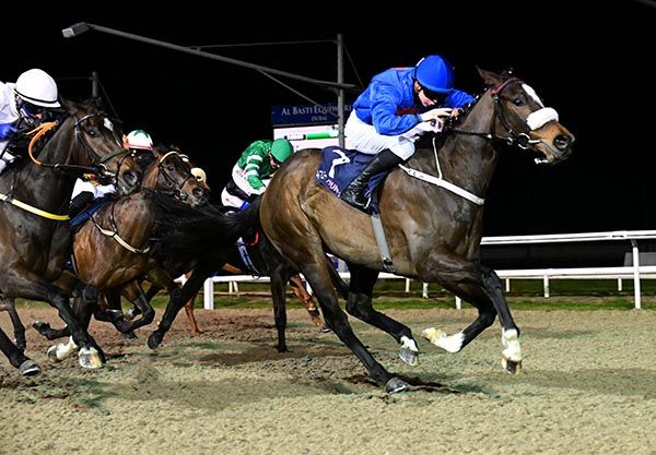 Brave Approach and Reese Holohan