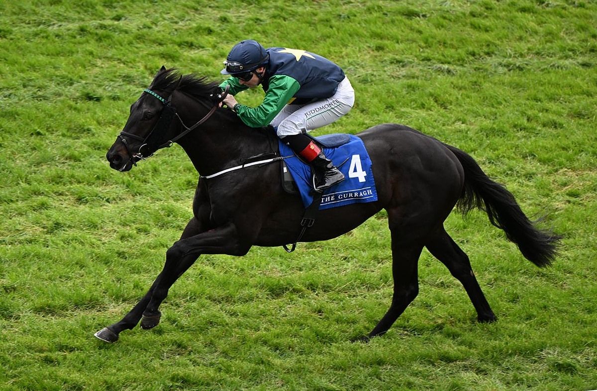 Breaking Dawn and Colin Keane