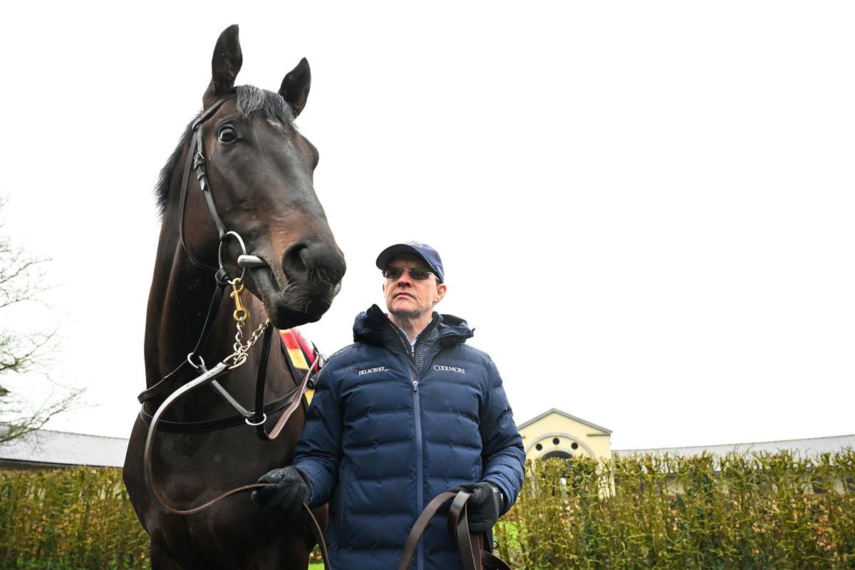 Albert Einstein and Aidan O'Brien 