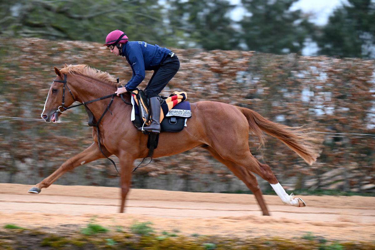 Benvenuto Cellini puts his Derby credentials to the test in Chester Vase 