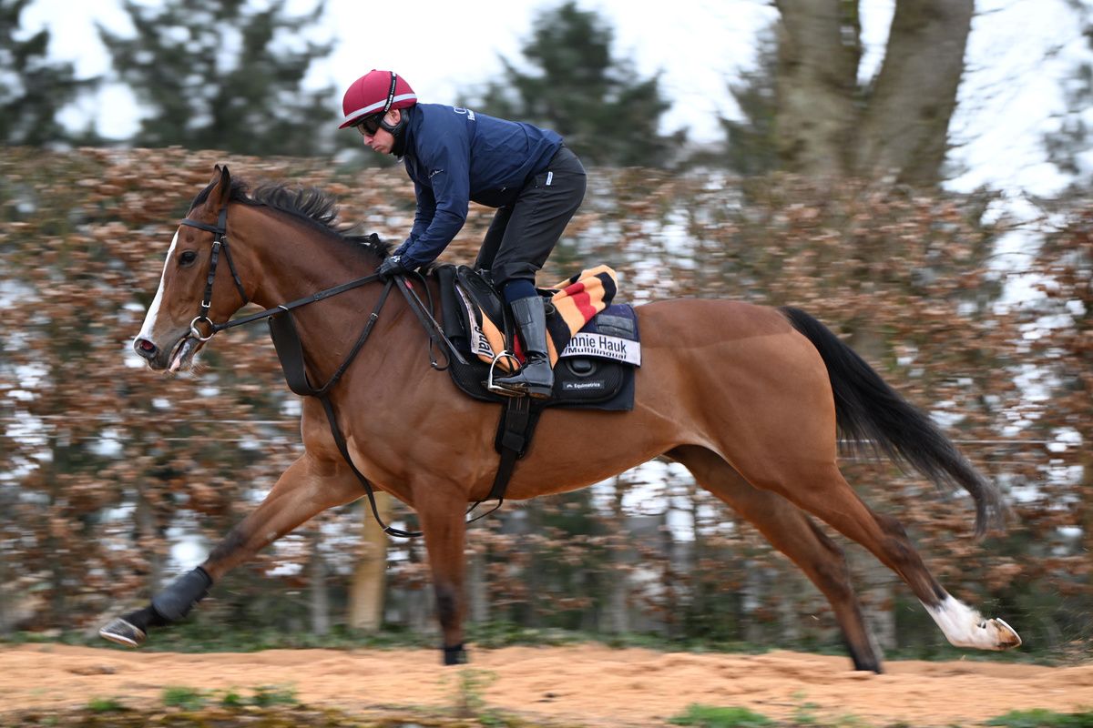Minnie Hauk and Brett Doyle on the Front Gallop at Ballydoyle