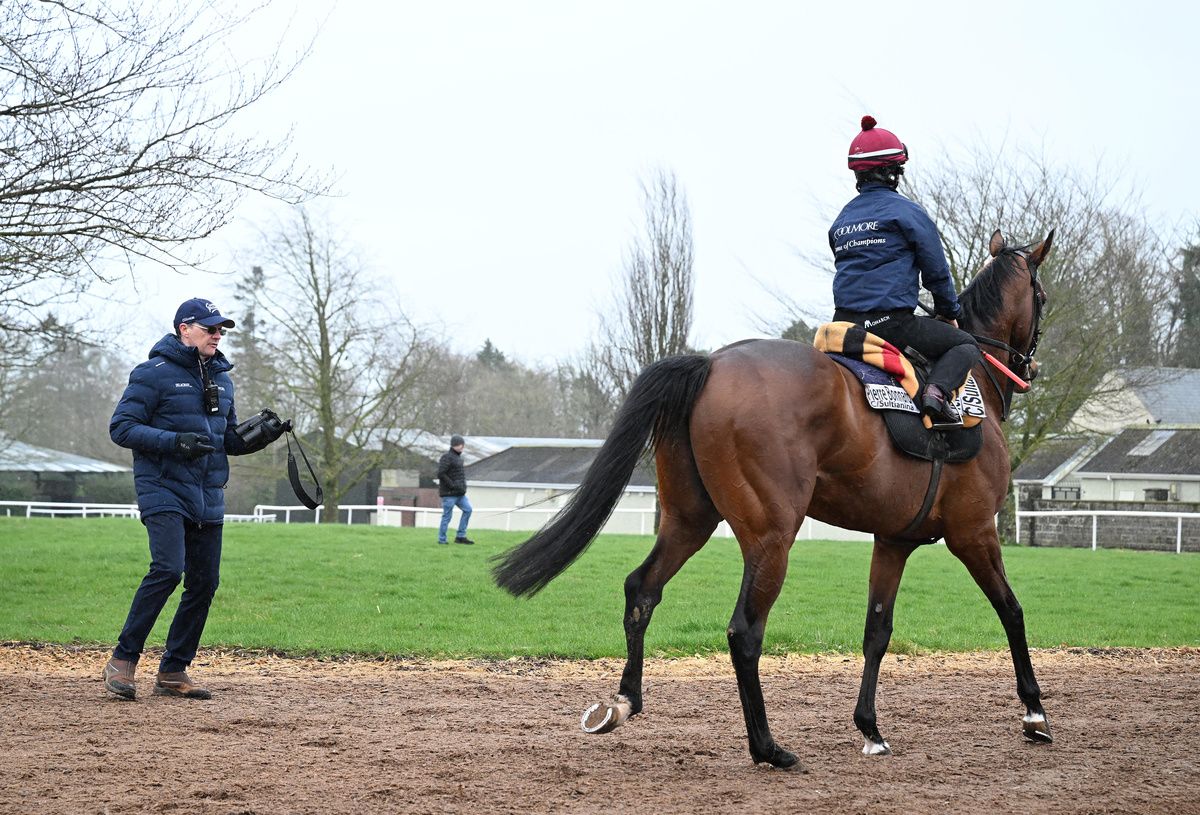 Aidan O'Brien with Pierre Bonnard