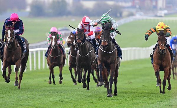 Noble Nation and Shane Foley