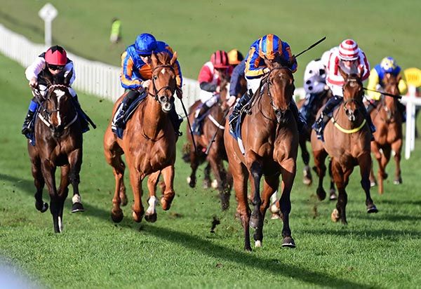 Drop Dead Gorgeous and Ryan Moore