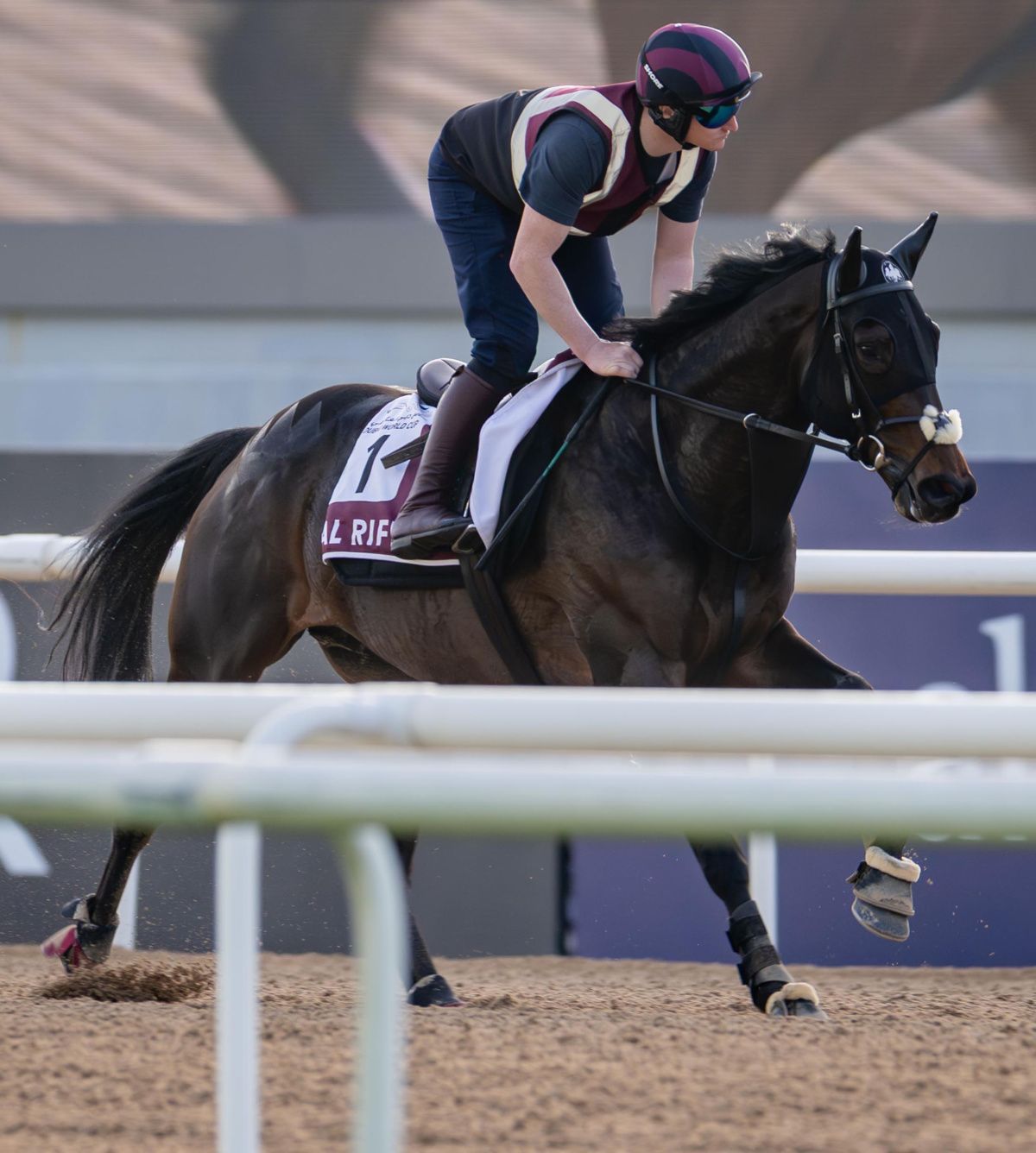 Al Riffa with Mikey Hamill