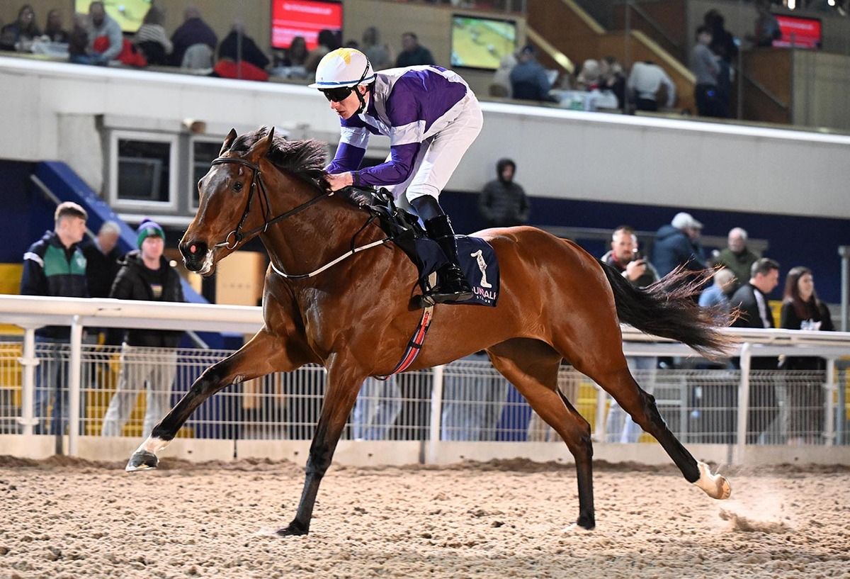 Maria Quiteria and Donagh O'Connor