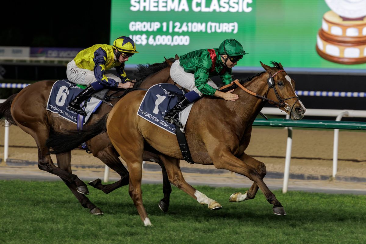 Calandagan beats West Wind Blows 