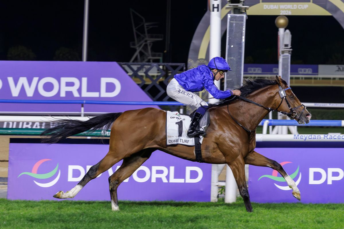 Ombudsman and William Buick