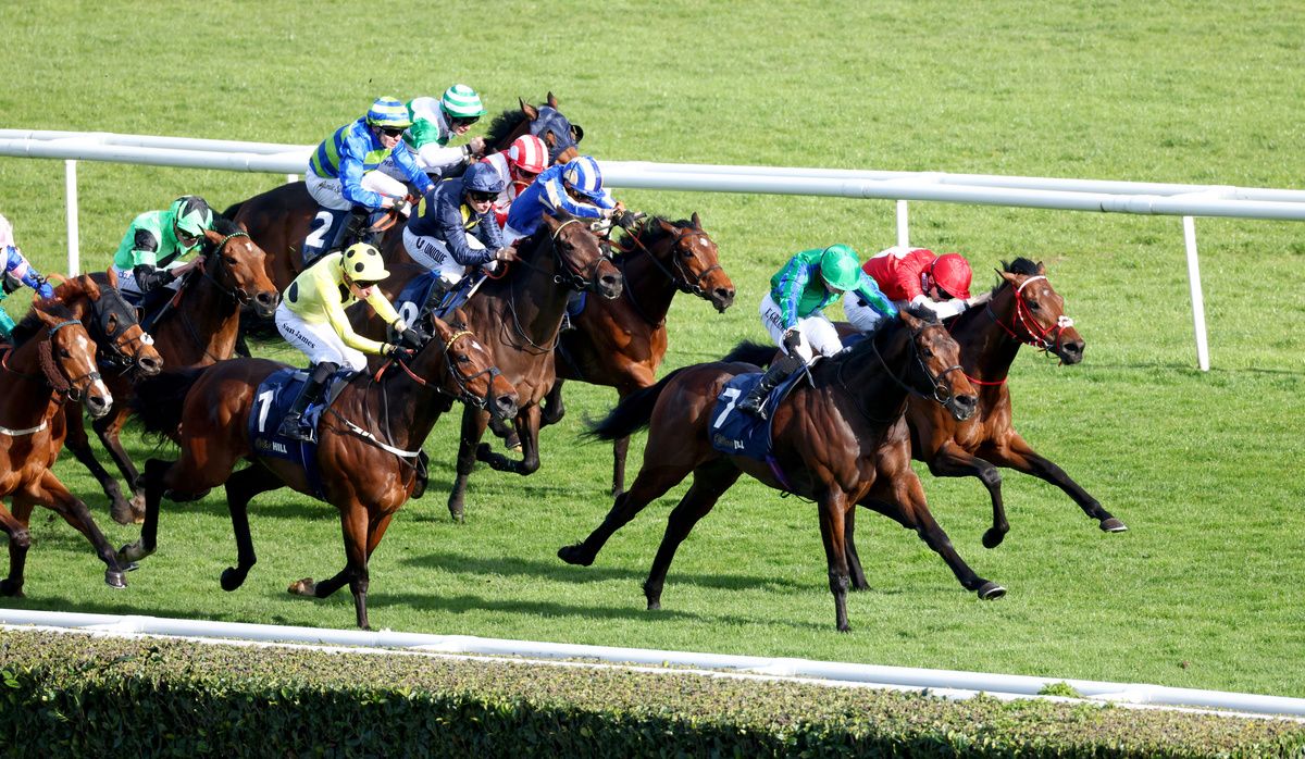 Urban Lion and Edward Greatrex (green and blue)