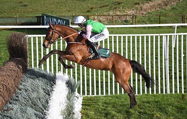 Cause For Comment and Patrick Mullins